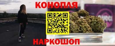 a pvp Свободный