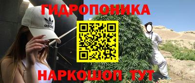 a pvp Свободный