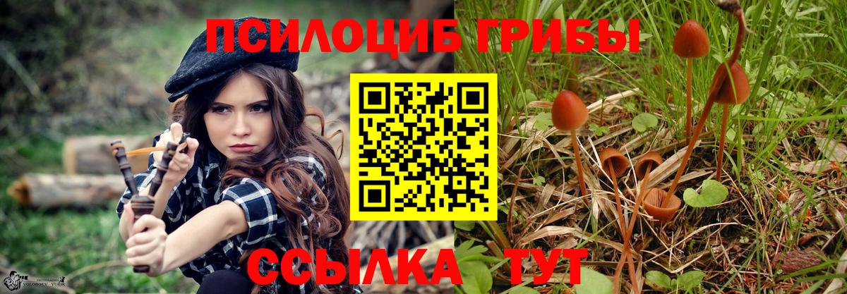 Псилоцибиновые грибы мицелий  Вход с VPN  Михайловск 